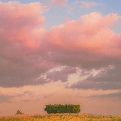 乐发大众彩票app下载安装