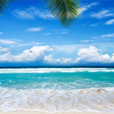 ku娱乐官网登录