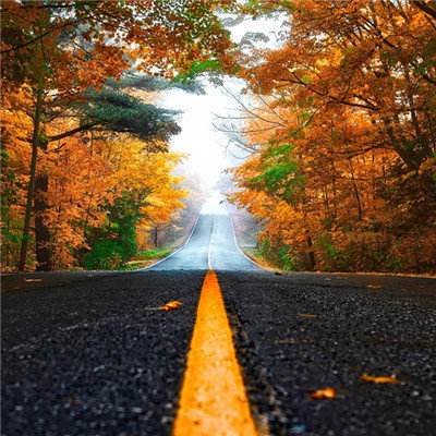 半岛平台半岛官方下载