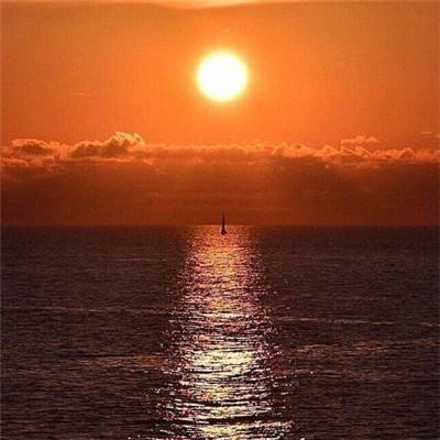 澳门王中王100%的资料app下载