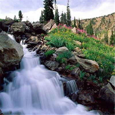 尊龙AG旗舰厅登录