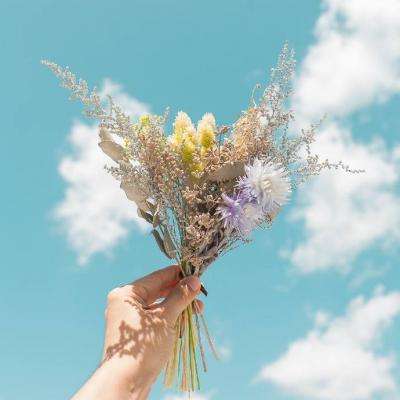 华体会登录手机app下载