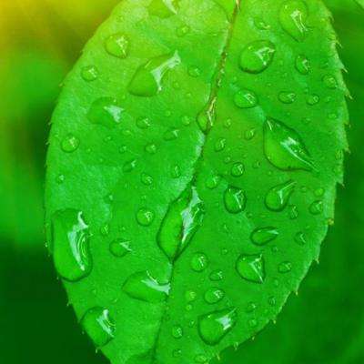 8188www威尼斯手机app下载截图