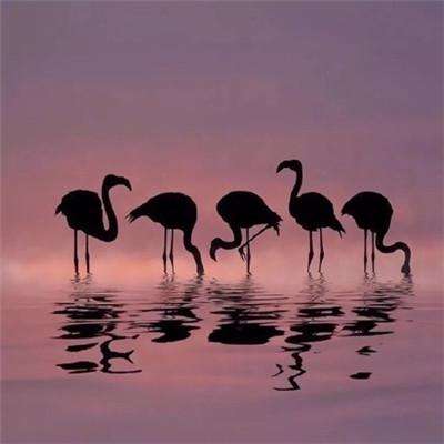 im电竞官网下载手机版